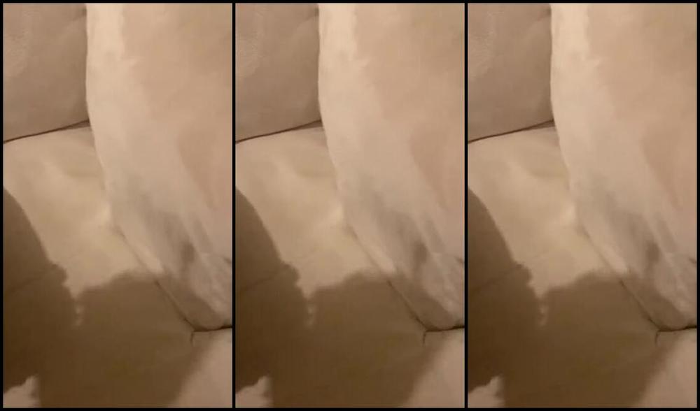 Ladyjames Nicknamed Jjames70779191 01 19 2025 Onlyfans Video What Should I Get Up To In This Naughty Underwear