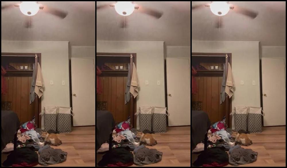 Goddess Fetish Nicknamed Fetishamateur 06 21 2024 Onlyfans Video Leaked Fetishamateur 8652