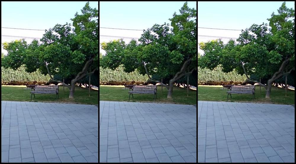 Emma Lee Nicknamed Rubberdollemma 06 19 2025 Onlyfans Video Stream Started At 06192025 0617 Am