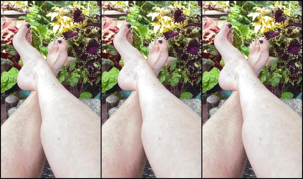 Kittys Pretty Feet Nicknamed Kittys Sweet Feet 08 15 2024 Onlyfans Video Watch As I Show Off My Graceful Arches While I Enjoy The Splendor Of My Garden