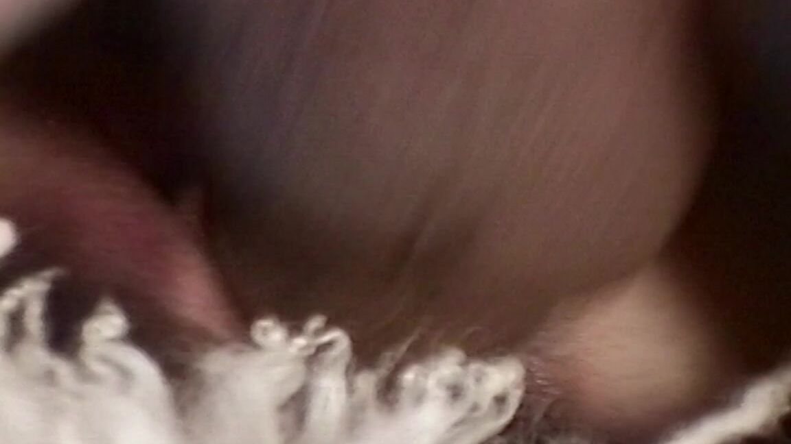 skinny witch first anal sex January 15, 2021 Manyvids