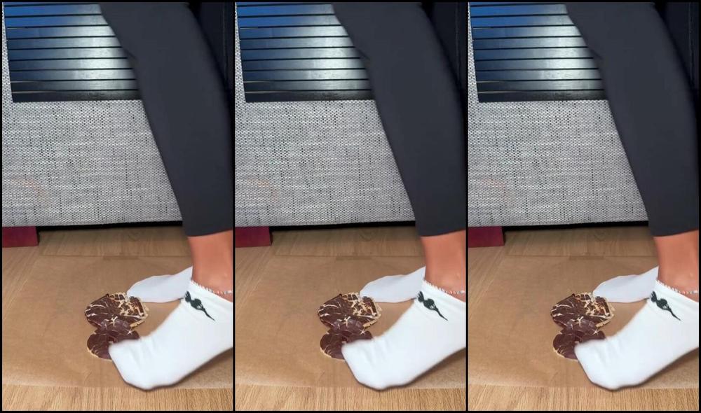 Isabela Stillsinning Nicknamed Stillsinning 12 11 2024 Onlyfans Video Tuesdays Are For Donuts And Dirty Socks