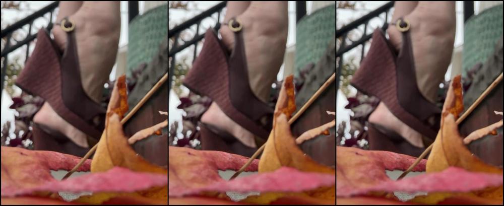 Kittys Pretty Feet Nicknamed Kittys Sweet Feet 11 07 2025 Onlyfans Video Ive Had These Beautiful Wedges For About 15 Years