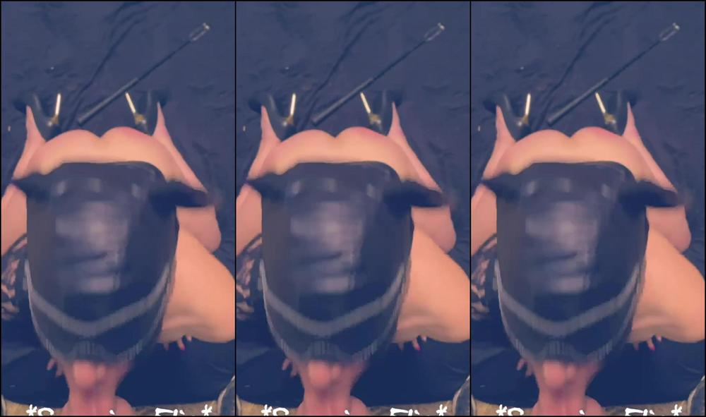 Soumiseelia 43424492Video2022 02 1714 13