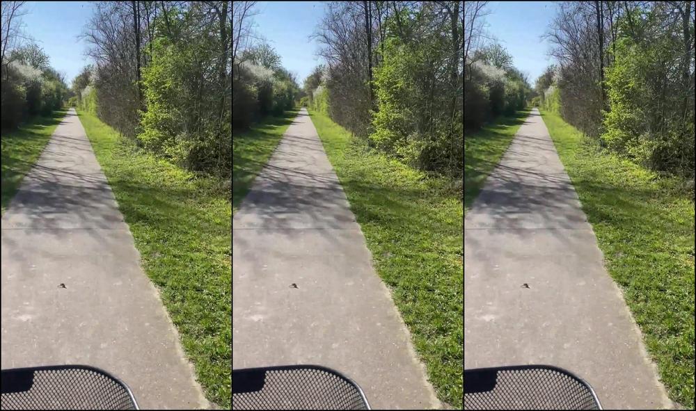 Ilanaxx 766395848509632513