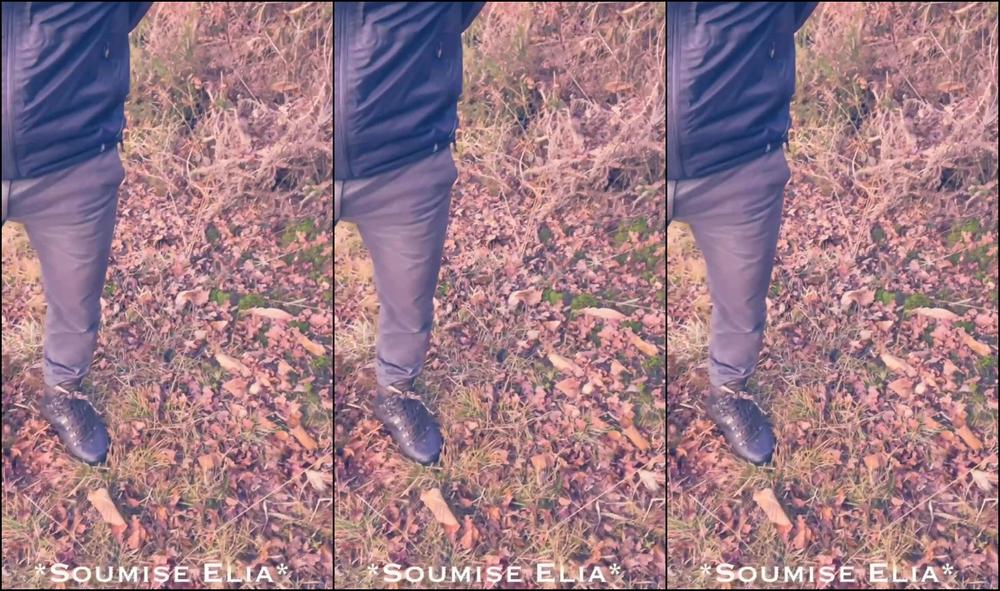 Soumiseelia 49961795Video2023 01 3119 12