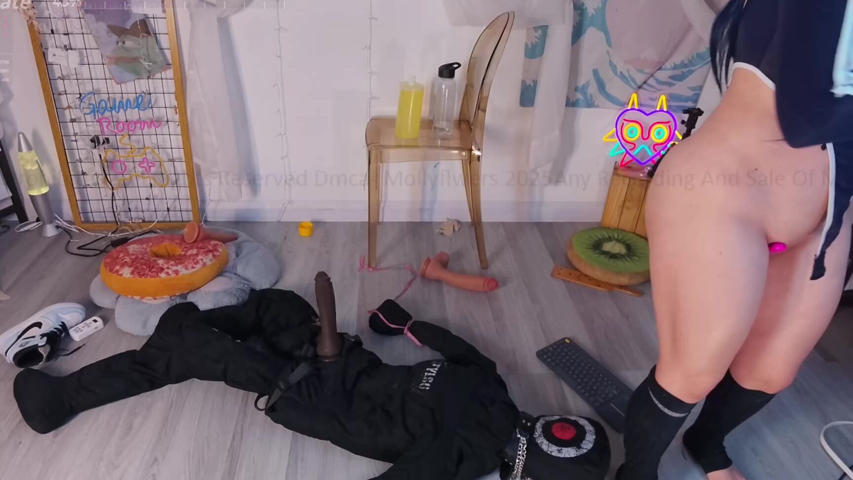 Mollyflwers 2025 09 12 18 18