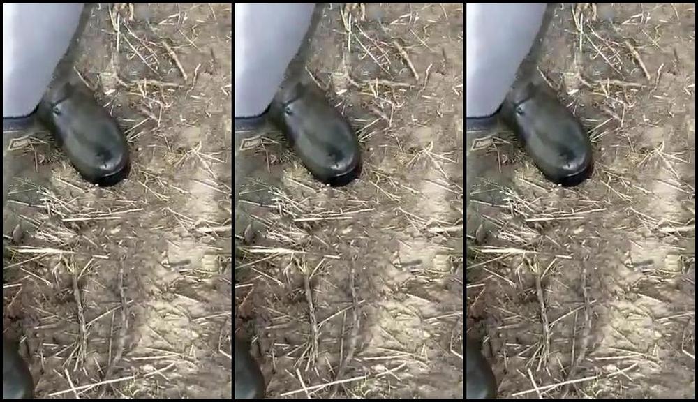 Ladyjames Nicknamed Jjames70779191 03 23 2023 Onlyfans Video Are You Going To Lick My Wellies Clean