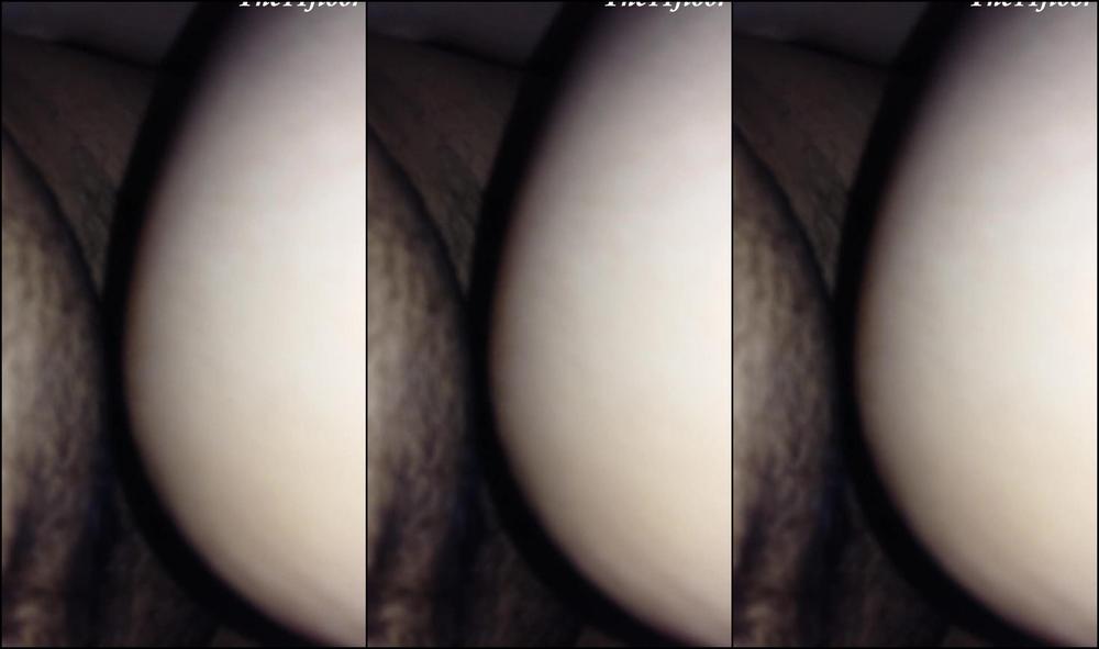 The11Floor First Time Recorded The11Floor