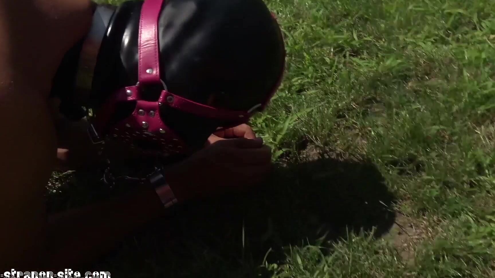 Mistress Tatjana Go for a walk Fetish Videos November 15, 2022 Manyvids