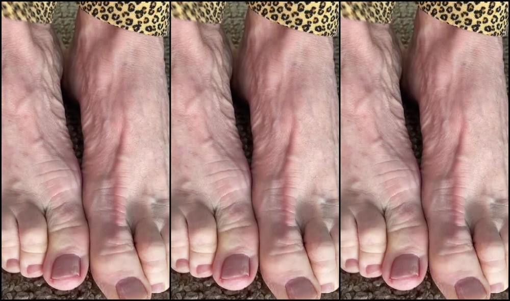 Kittys Pretty Feet Nicknamed Kittys Sweet Feet 01 18 2025 Onlyfans Video Heres A Quick Video Just To Get My Wiggle On