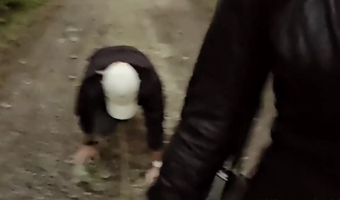 Herrin Lady Sarah Nicknamed Herrinlady 09 05 2025 Onlyfans Video Mal Wieder Eine Sch Ne Session Mit Meinem Lederschwein Gehabt