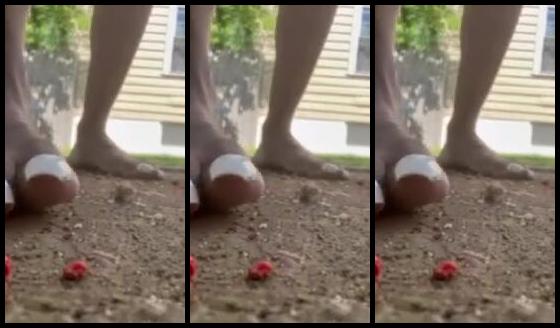 Liv Forsoles Nicknamed Livforsoles 05 03 2024 Onlyfans Video Im Treat You Like These Ants Amour