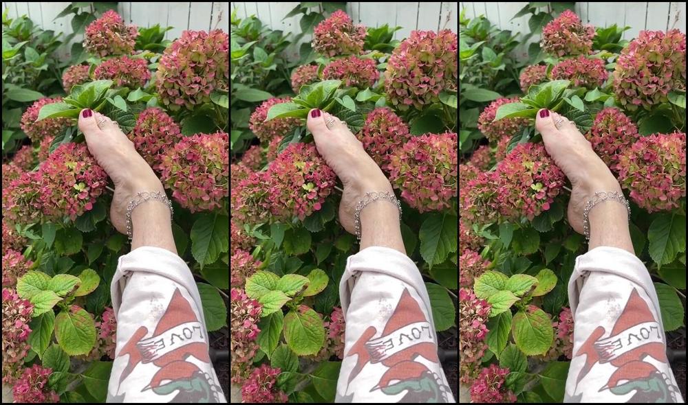 Kittys Pretty Feet Nicknamed Kittys Sweet Feet 10 07 2024 Onlyfans Video And Now For The Video