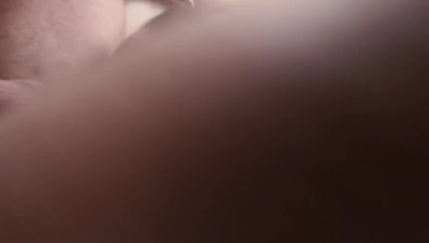 Analmals 2_2 SiteRip