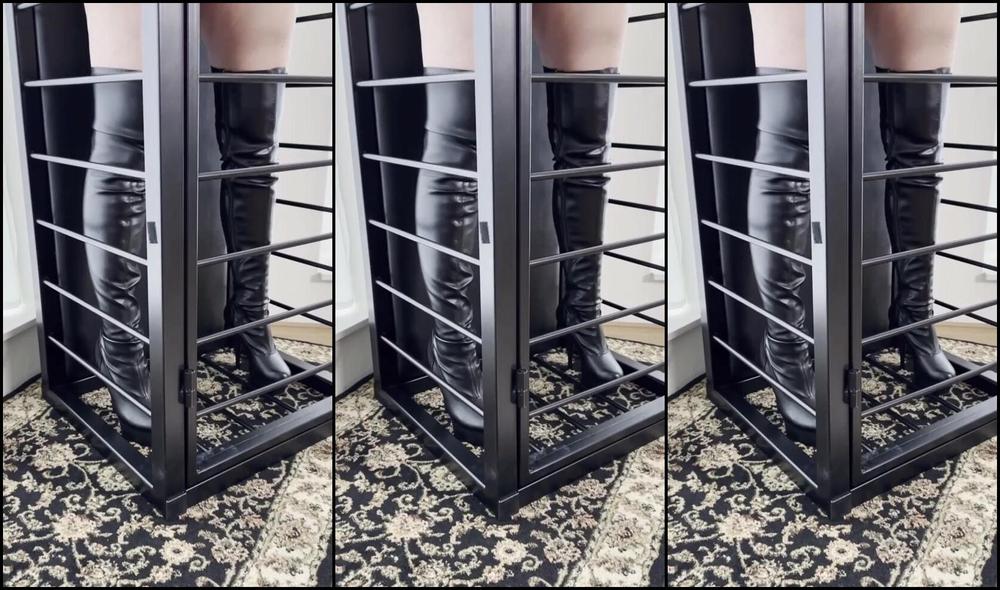 Anc1Lla Nicknamed Anc1Lla 04 06 2024 Onlyfans Video Did You Order A Fuckdoll