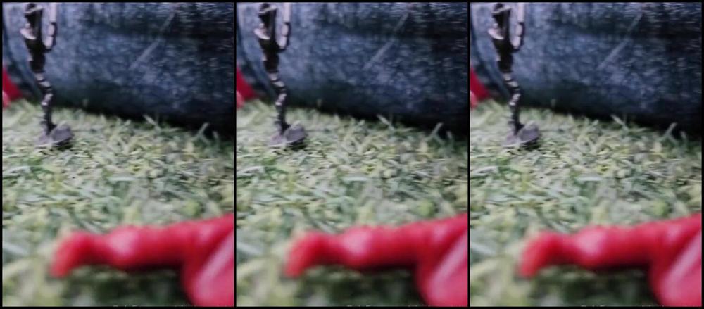 Giantess Vore Debora Nicknamed Giantess Debora 06 06 2024 Onlyfans Video Tiny Soldiers Caught Me Peque Os Soldados Me Sujetador