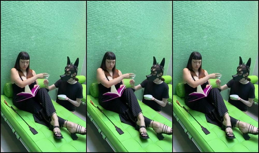 Bimbydoll Nicknamed Bimbydoll 12 26 2024 Onlyfans Video My Erotic Book Is More Entertaining Than You