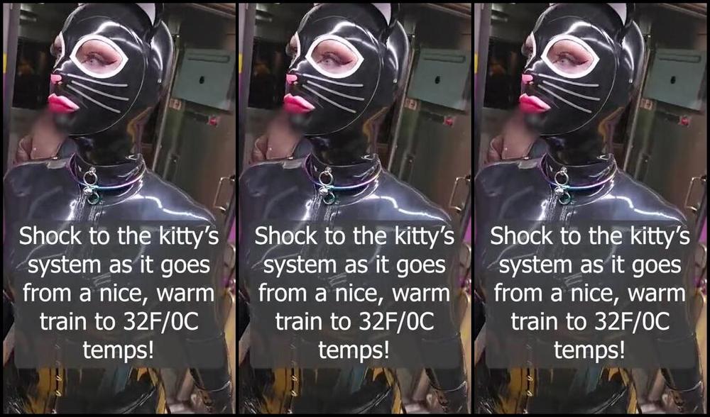 Blueberry Sage Nicknamed Blueberrysage 12 17 2024 Onlyfans Video 5463 050 Statement The Drone Likes Filming Itself In Public And It Its Not That Much