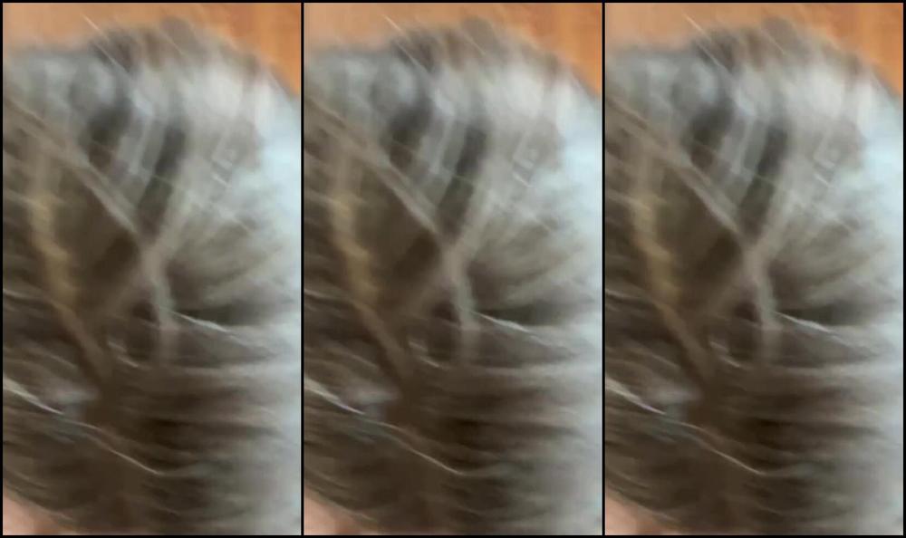 Marshmallow Toes Nicknamed Marshmallowtoes 02 28 2025 Onlyfans Video Making You Cum In My Flip Flops Pov Your Neighbor Comes Over To Ask You If