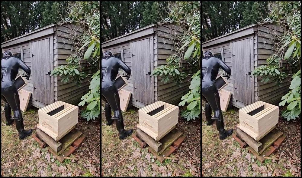 Blueberry Sage Nicknamed Blueberrysage 04 23 2024 Onlyfans Video Now That The Hive Is Ready Its Time To Get The Bees Moved Into Their New