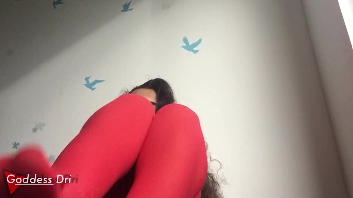 "GoddessDri" stocking, femdom pov, foot worship, goddess worship, legs Red Stockings Manyvids