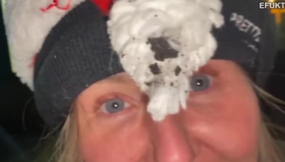 Efukt The Most Talented Homeless Girl In London