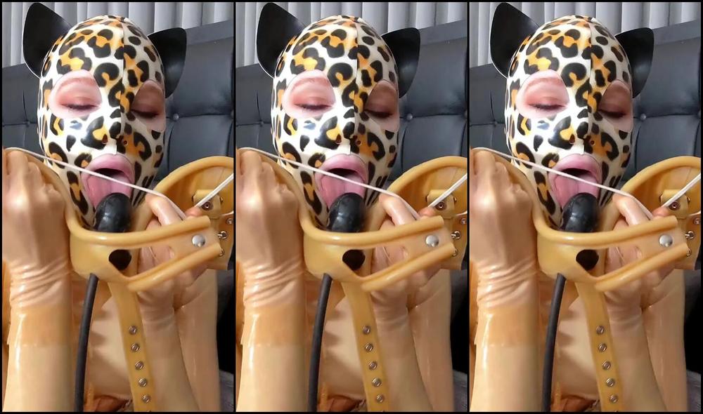 Mdollbot Nicknamed Mdollbot 01 23 2025 Onlyfans Video Have You Been Here Long Enough To Remember This Beautiful Hw Muzzle Or Is This Delight