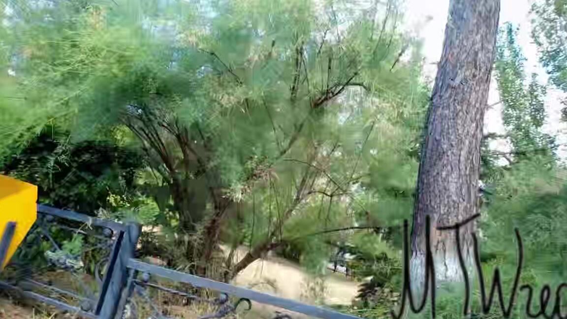 Risky Flashing In Public Park