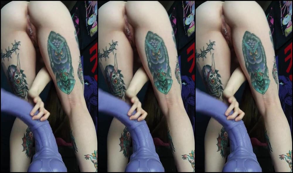 Lilijunex Nicknamed Lilijunex 03 18 2025 Onlyfans Video Breaking In My Pussy Deep Flooding It With My New Xl Vector Time For The