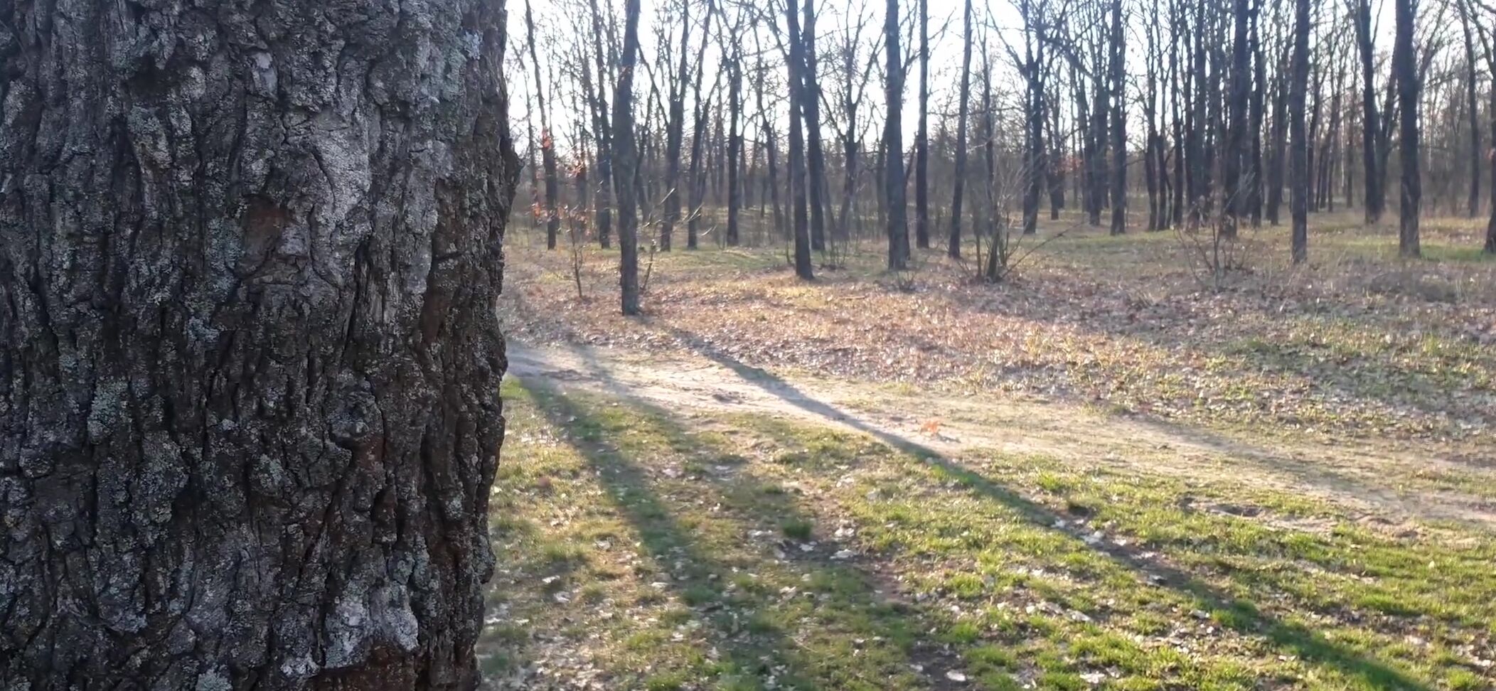 Peeping On A Naked Girl On A Bike