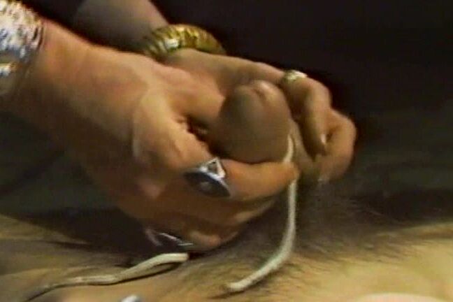 All Sex Every Man's Fantasy Video Home Library