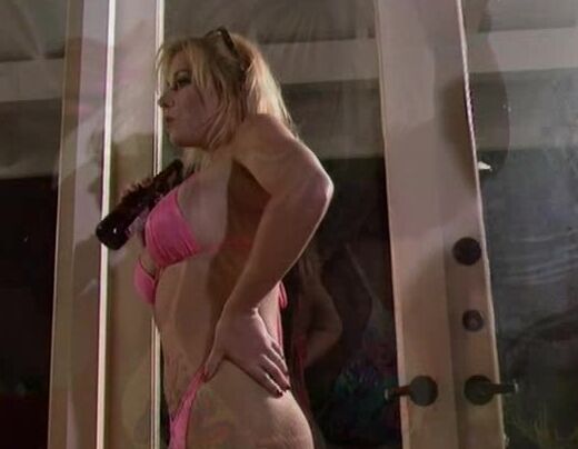 "Anna Malle, Farrah, Kylie Ireland, Missy, Pryce Leigh, Bobby Vitale, Buck Adams, Tony Martino, Tony Tedeschi, Hank Armstrong, Mickey G." Feature Skin Dive Sin City