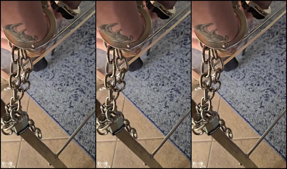 Reesetheram Nicknamed Reesetheram 02 10 2025 Onlyfans Video What Am I Missing Here