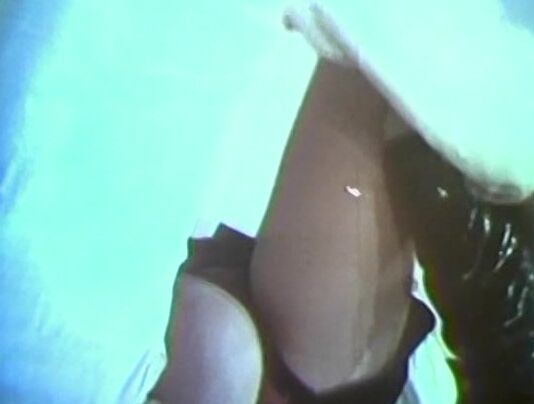 "S.Scott, Annie Lawrence, Jenny Becker, Allan Nicks, Ray Davies" Lesbo, Oral, Pron Family Jewels GOURMET VIDEO