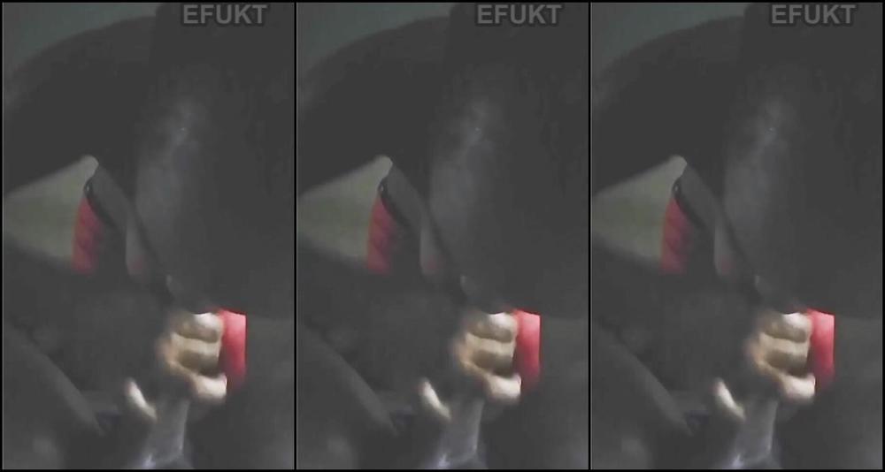 Efukt Cum Haters 2021