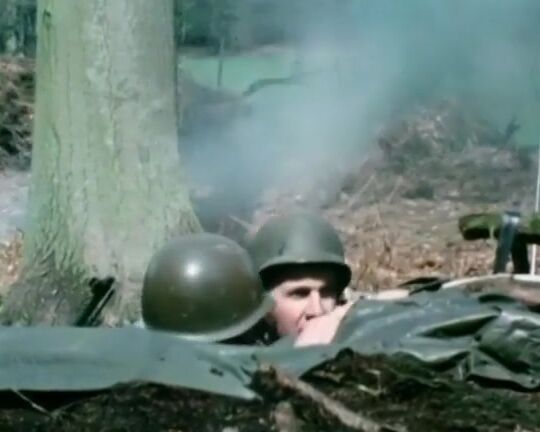 "Christa Ludwig, Crystal Dawn, Gina Janssen, Holly McCall, Karin Lorson, Misty Regan, Sigrun Theil, Tawny Pearl, Tina Traven" Classic, All Sex Golden Century of Porn 10 Herzog