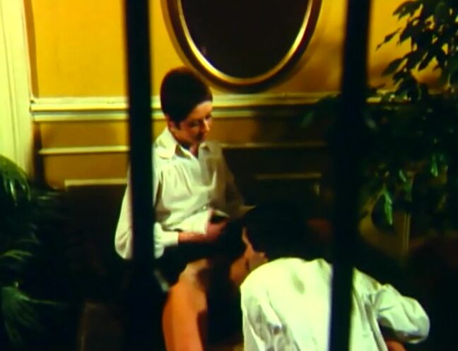 Nasse Katzen im Orgasmusrausch - Heimliche Liebe De Luxe video