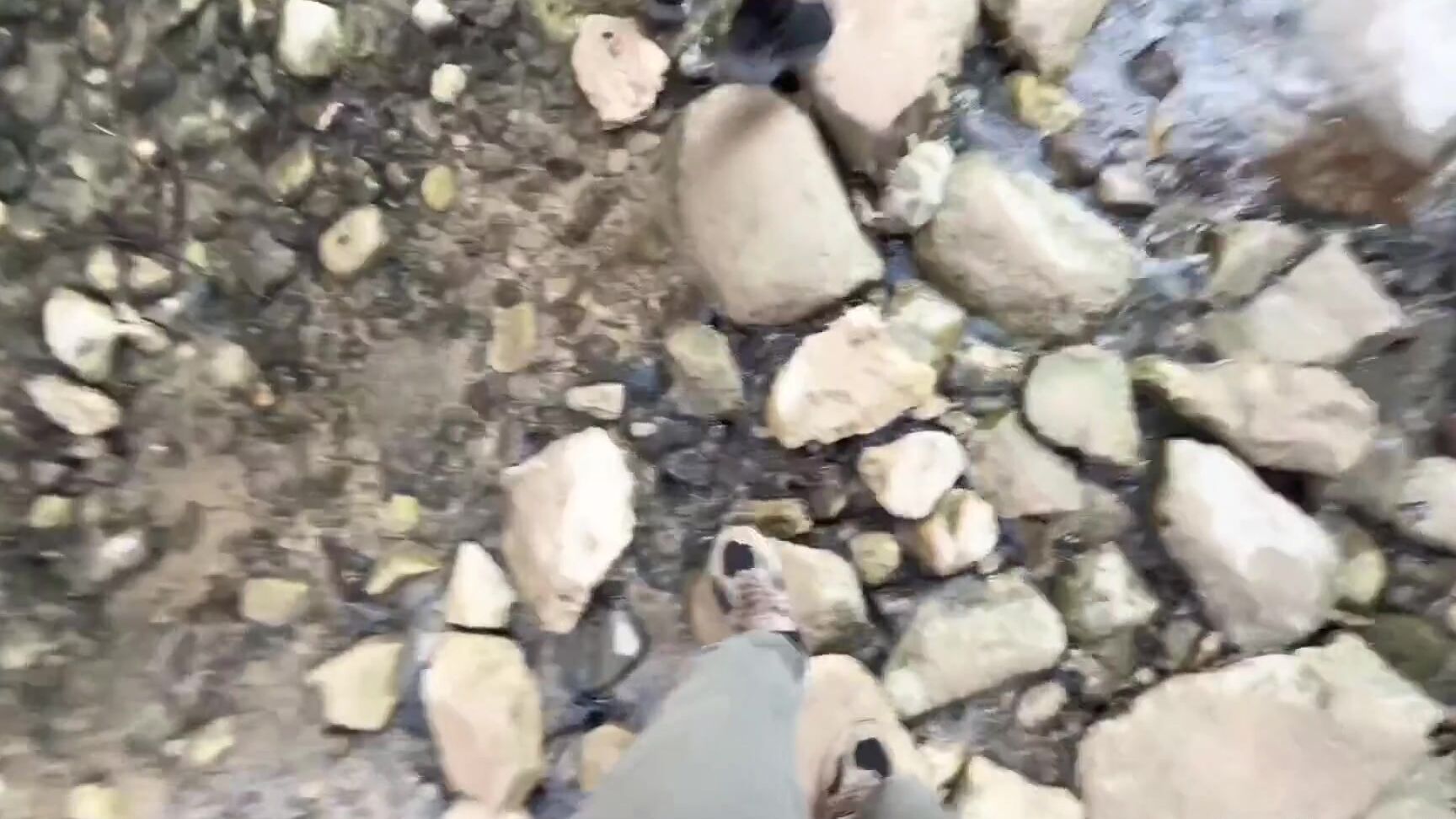 Pure Pleasure Nicknamed Purepleasure 08 12 2025 Onlyfans Video Nothing Interesting To See Here Just Two Wild Animals Trying To Resist Their Urge To Throw