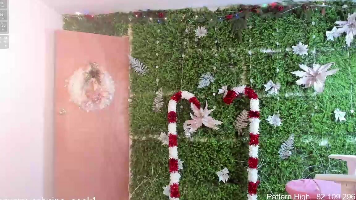 Sabrina Geek 2025 12 31 19 06