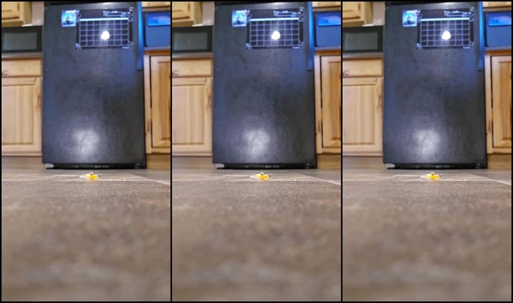 Sexysassquatch34 Nicknamed Goddessnat34 10 06 2025 Onlyfans Video Giantess Natalie At It Again H7Ht