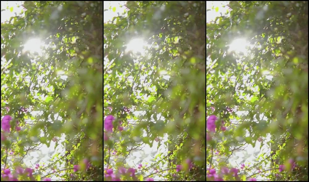 Big Mami Nicknamed Bigmamioficial 03 21 2023 Onlyfans Video Un Lindo D A En La Granja Por Mensaje Privado Encontrar S El Final De La Sesi N