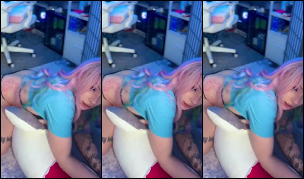 Blxxd Bunny Nicknamed Blxxdbunny 03 02 2025 Onlyfans Video Shark Pillow Humpinglt333