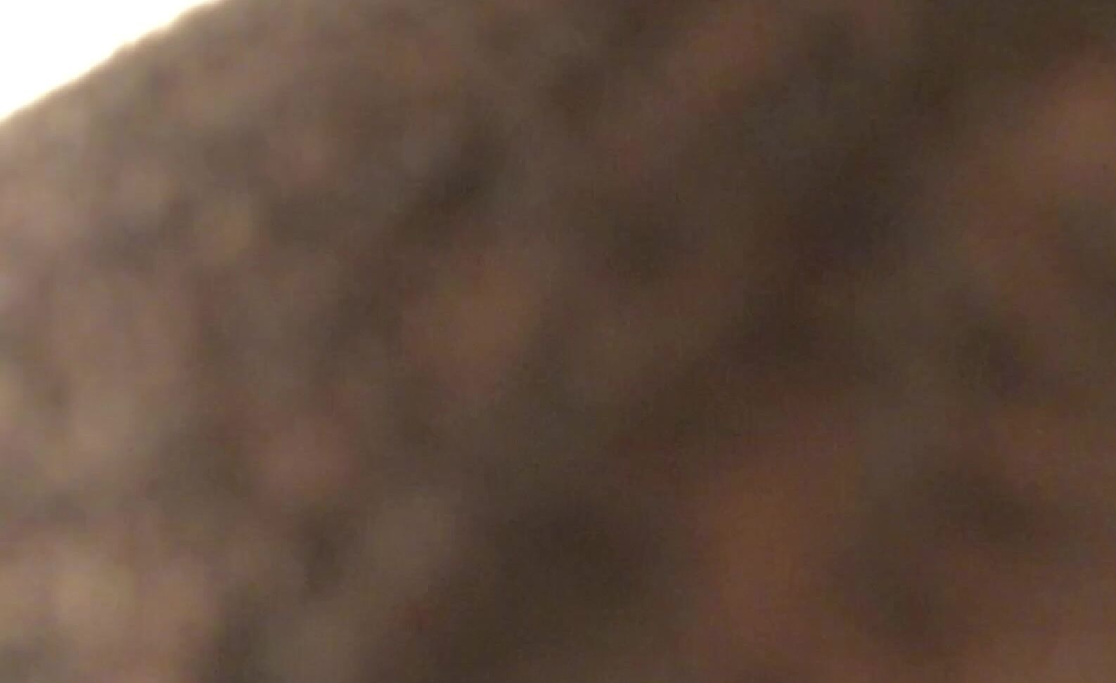 Amateur Hotwife Ass gets her hotwife pussy drilled while cuckolding her man