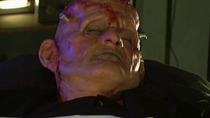 Blonde, Facial, Straight Diana De Nice - Köttets Lusta SiteRip