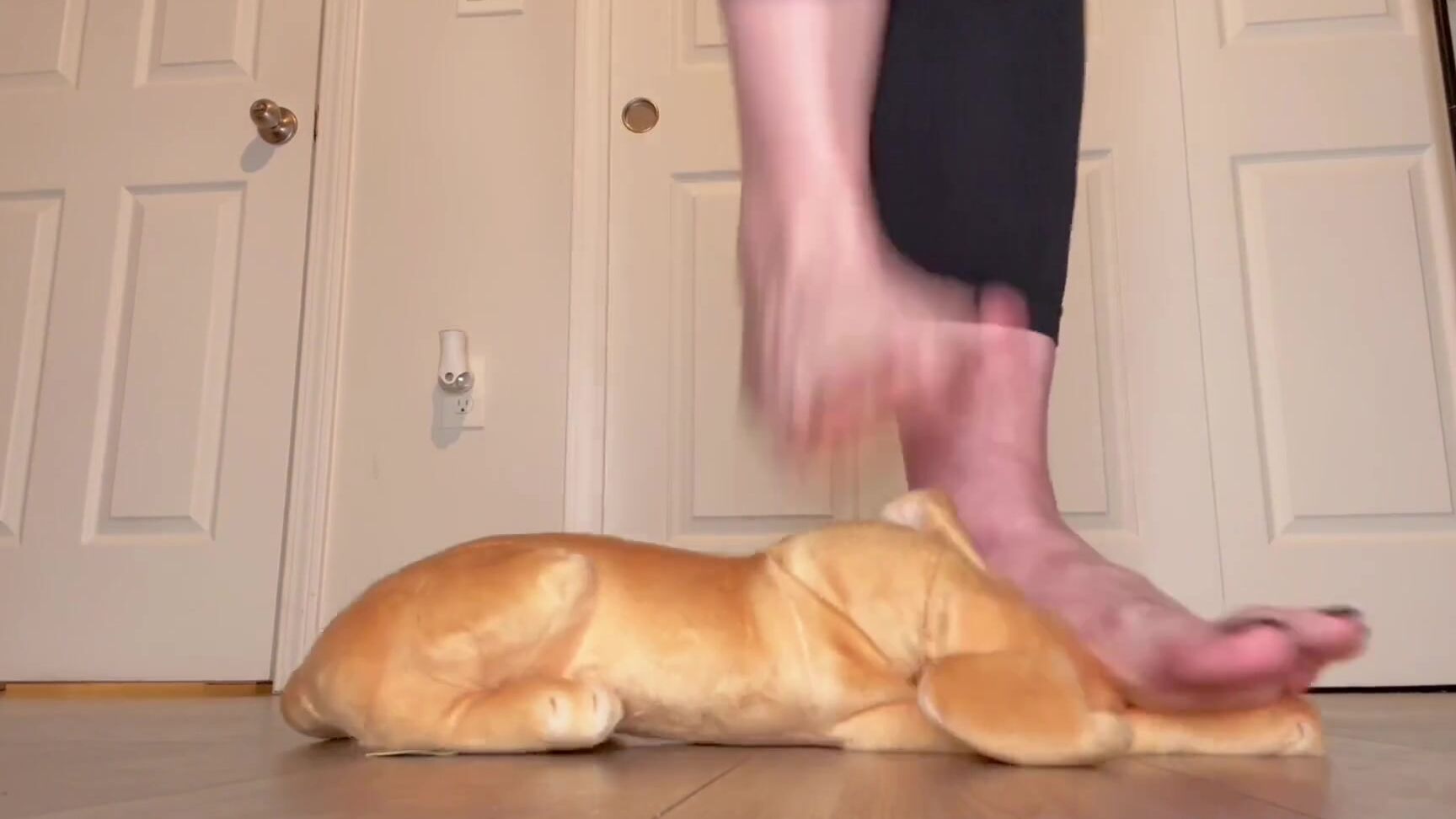 Peppermint Giantess Nicknamed Peppermintgiantess 10 30 2025 Onlyfans Video It Knew What Was Going To Happen