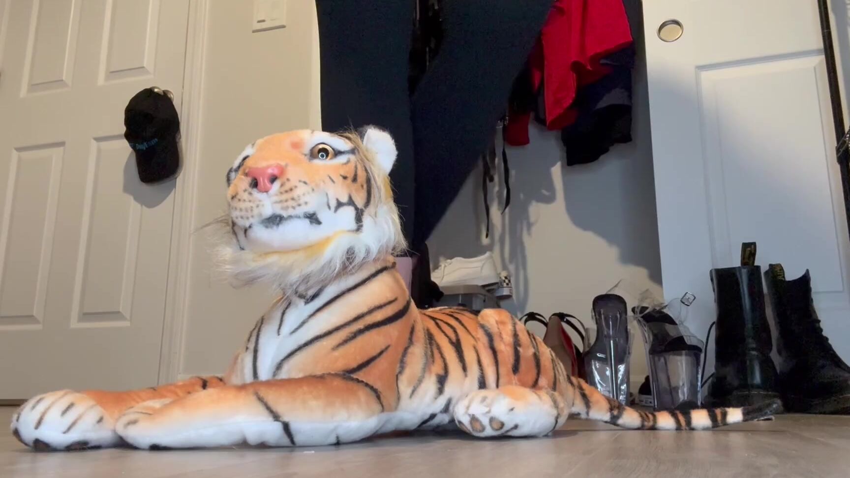 Peppermint Giantess Nicknamed Peppermintgiantess 09 30 2025 Onlyfans Video Poor Baby I Literally Stomped This Tiger To Fluff In The Full Video