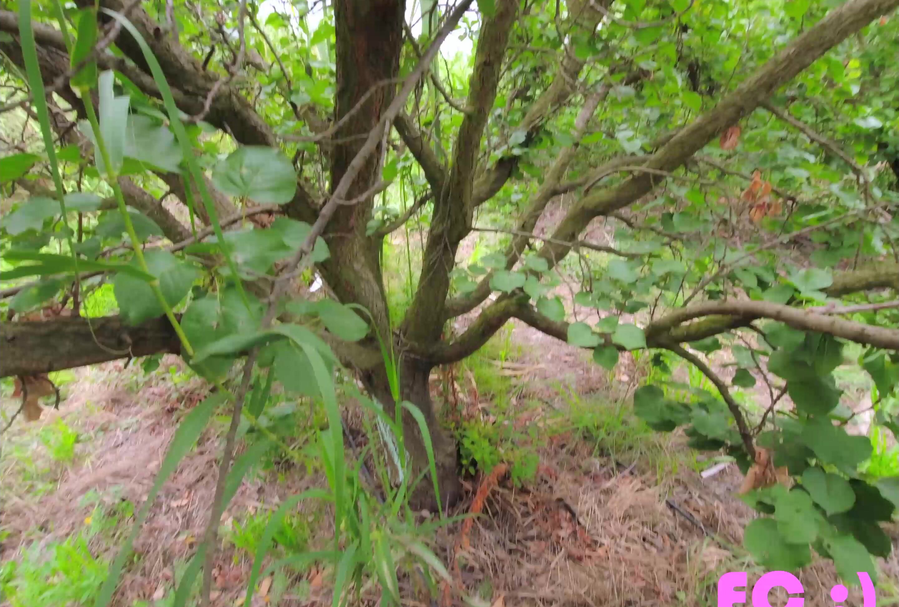 Pinkcandyec Bike Ride Fuck On The Farm