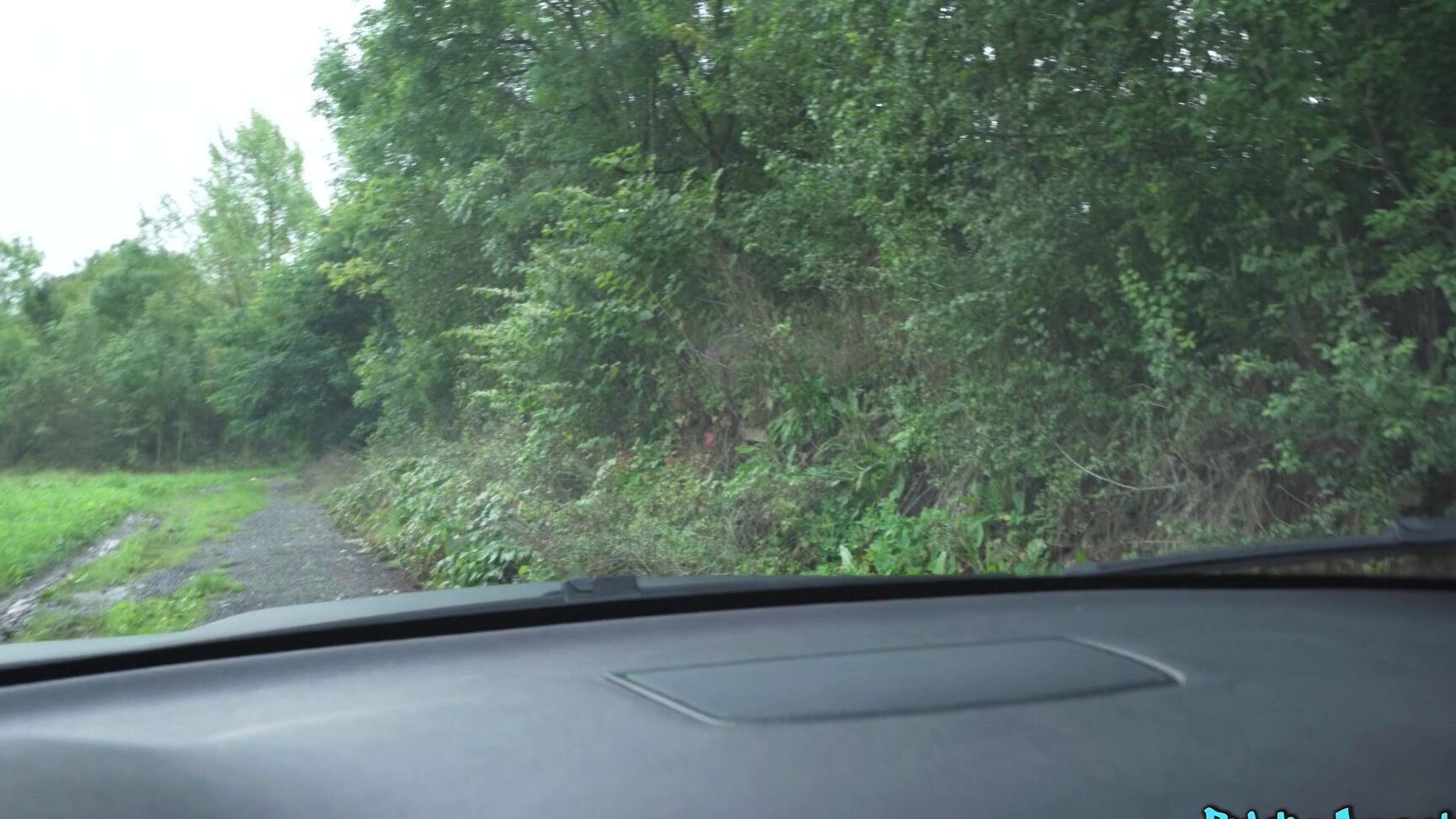 "Gina Snow, Martin Gun" All sex Gina Snow, Martin Gun - The Swedish Hitchhiker SiteRip