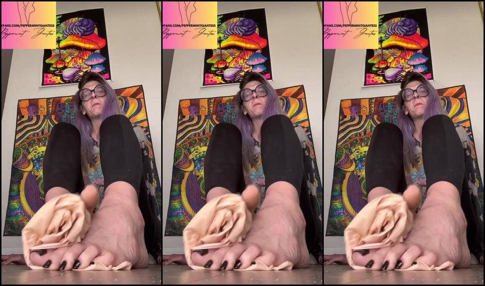 Peppermint Giantess Nicknamed Peppermintgiantess 11 24 2025 Onlyfans Video I Folded That Little Man Up Nice Amp Tight Using Only My Feet